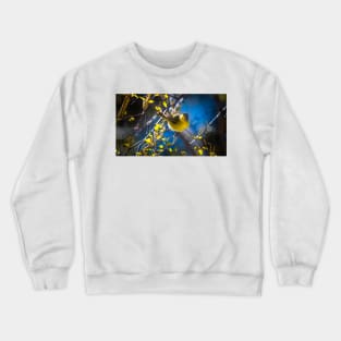 Nashville Warbler Crewneck Sweatshirt